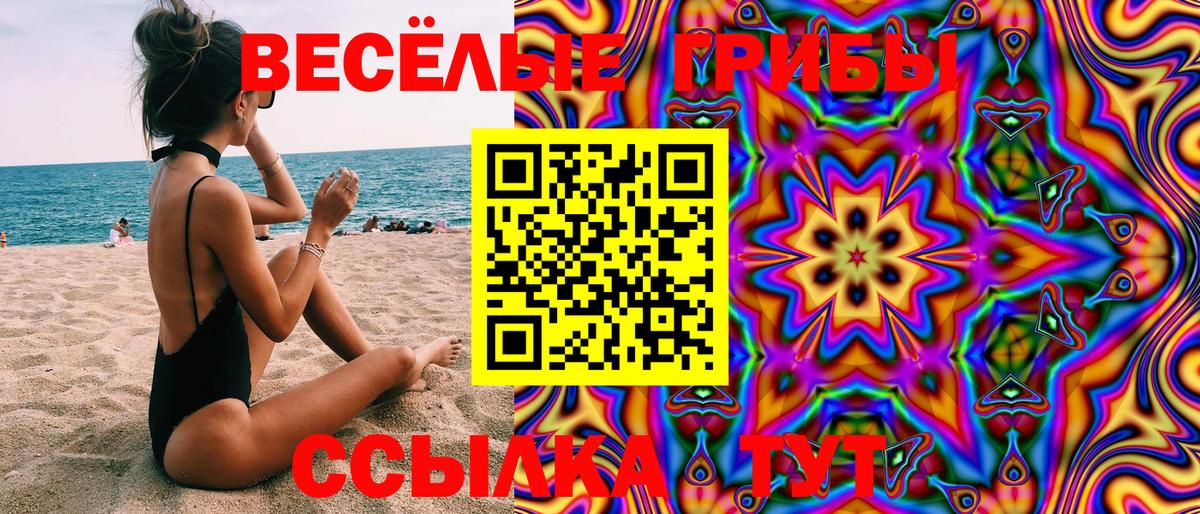 Галлюциногенные грибы Psilocybe  Вход с VPN  Петрозаводск 